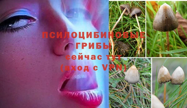 дживик Алексин