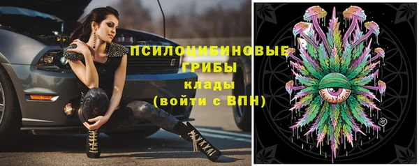 spice Арсеньев